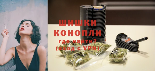 шишки Абинск