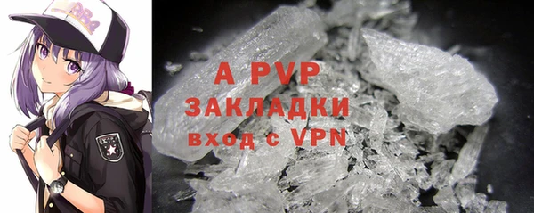 крисы Алексин