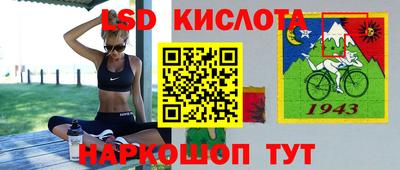 прущие грибы Новозыбков