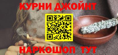 прущие грибы Новозыбков