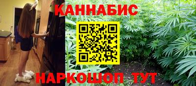 прущие грибы Новозыбков