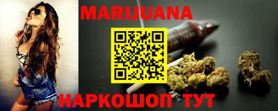 прущие грибы Новозыбков