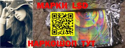 прущие грибы Новозыбков