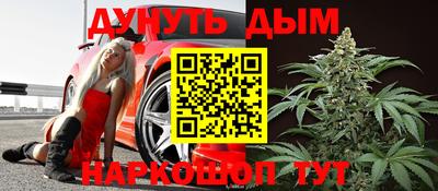 прущие грибы Новозыбков