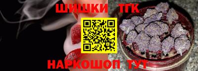 прущие грибы Новозыбков