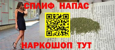 прущие грибы Новозыбков