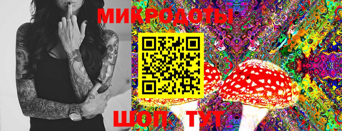 Галлюциногенные грибы Psilocybe Химки