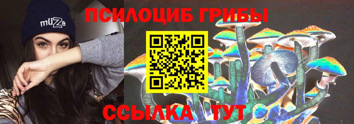 закладка  Вход с VPN  Псилоцибиновые грибы ЛСД  Химки  Галлюциногенные грибы GOLDEN TEACHER 